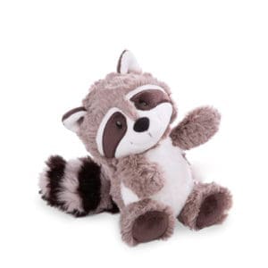 Gray Raccoon4 I Wanna Hug One!